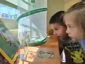 Pre-K program children learning at OC Kids Preschool Garden Grove