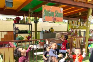 Garden Grove Montessori