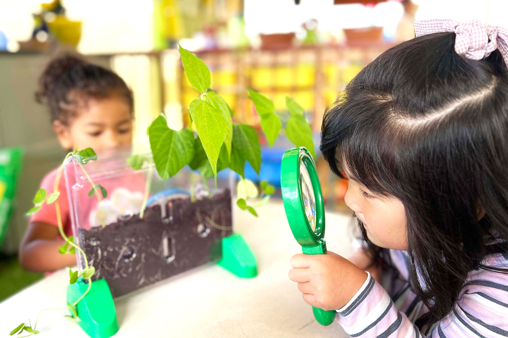 Garden Grove Montessori