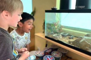 Preschool in Anaheim